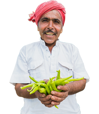 Farmer